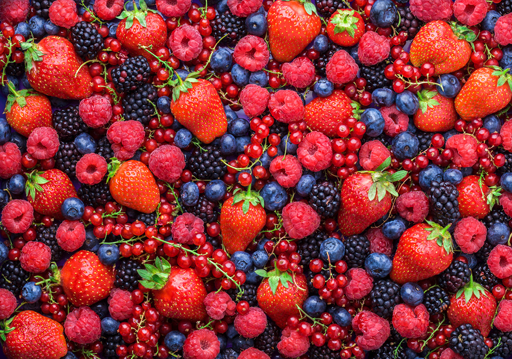 Equipo Natural Berries